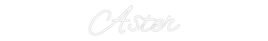 CREATE YOUR OWN WEDDING NEON SIGN Aster