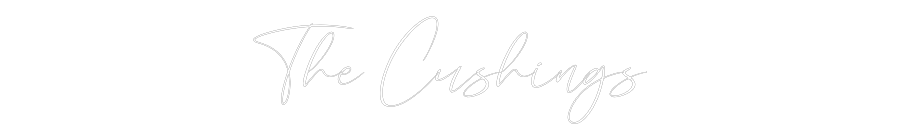 CREATE YOUR OWN WEDDING NEON SIGN The Cushings