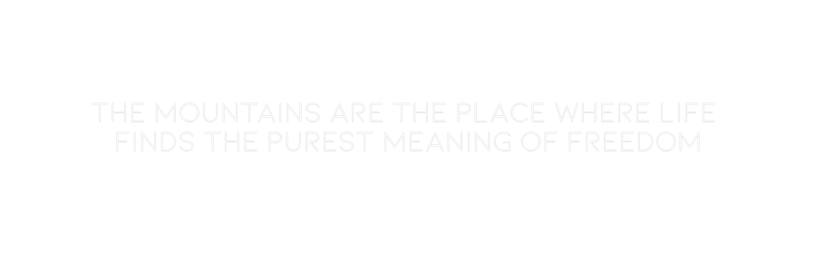 CREATE YOUR OWN CUSTOM NEON The mountains...