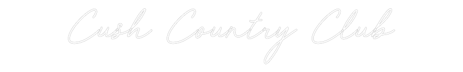 CREATE YOUR OWN WEDDING NEON SIGN Cush Country ...