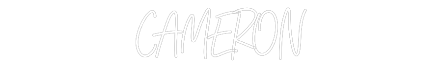 CREATE YOUR OWN WEDDING NEON SIGN CAMERON