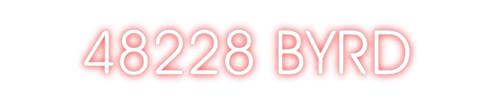 CREATE YOUR OWN CUSTOM NEON 48228 BYRD