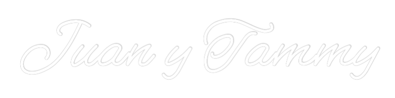 CREATE YOUR OWN WEDDING NEON SIGN Juan y Tammy
