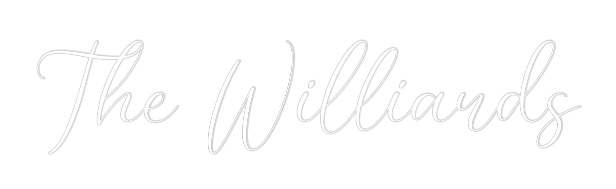CREATE YOUR OWN WEDDING NEON SIGN The Williards