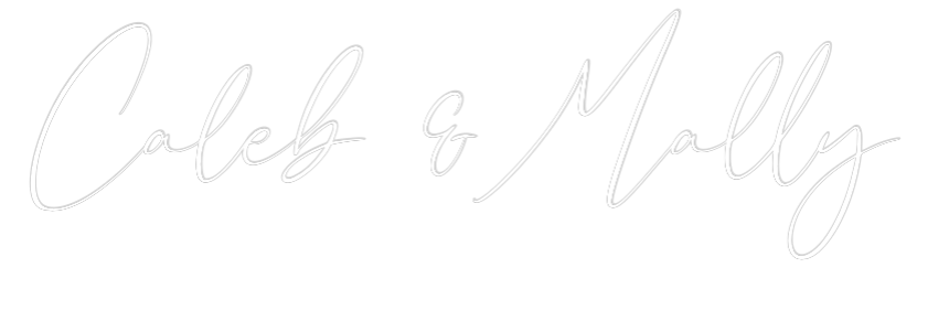 CREATE YOUR OWN WEDDING NEON SIGN Caleb & Mally