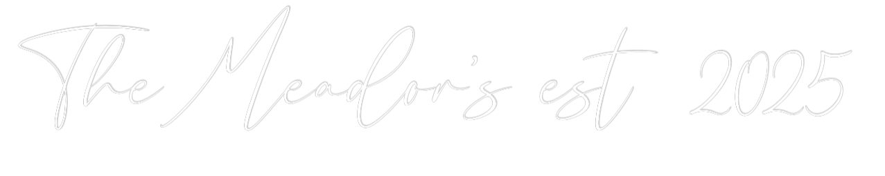 CREATE YOUR OWN WEDDING NEON SIGN The Meador’s ...