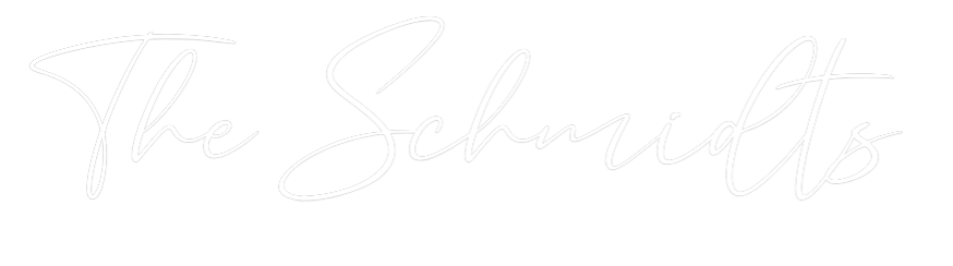 CREATE YOUR OWN WEDDING NEON SIGN The Schmidts