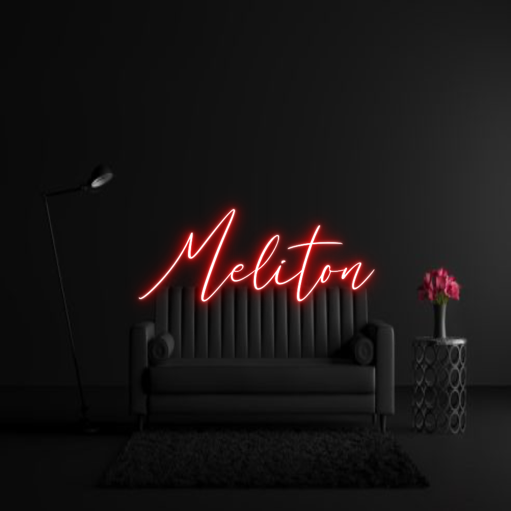 CREATE YOUR OWN WEDDING NEON SIGN Meliton
