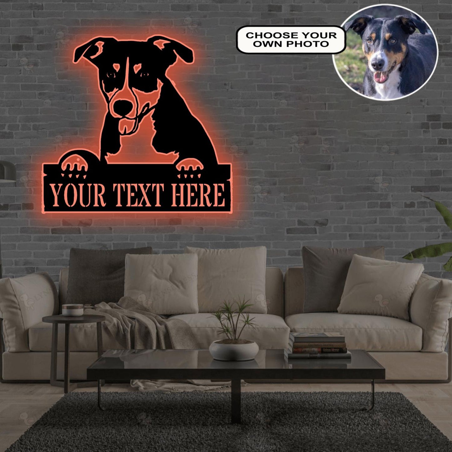 Personalized Berne cattle Dog Metal Sign Led Lights Custom Name Photo