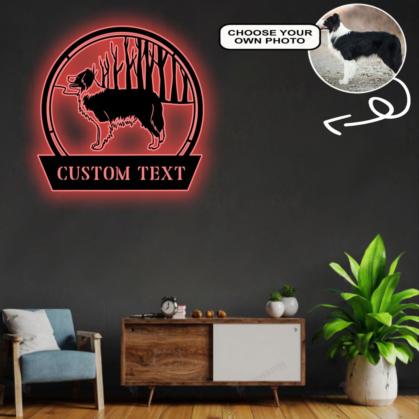 Personalized Border collie Dog Metal Sign Led Lights Custom Name Photo