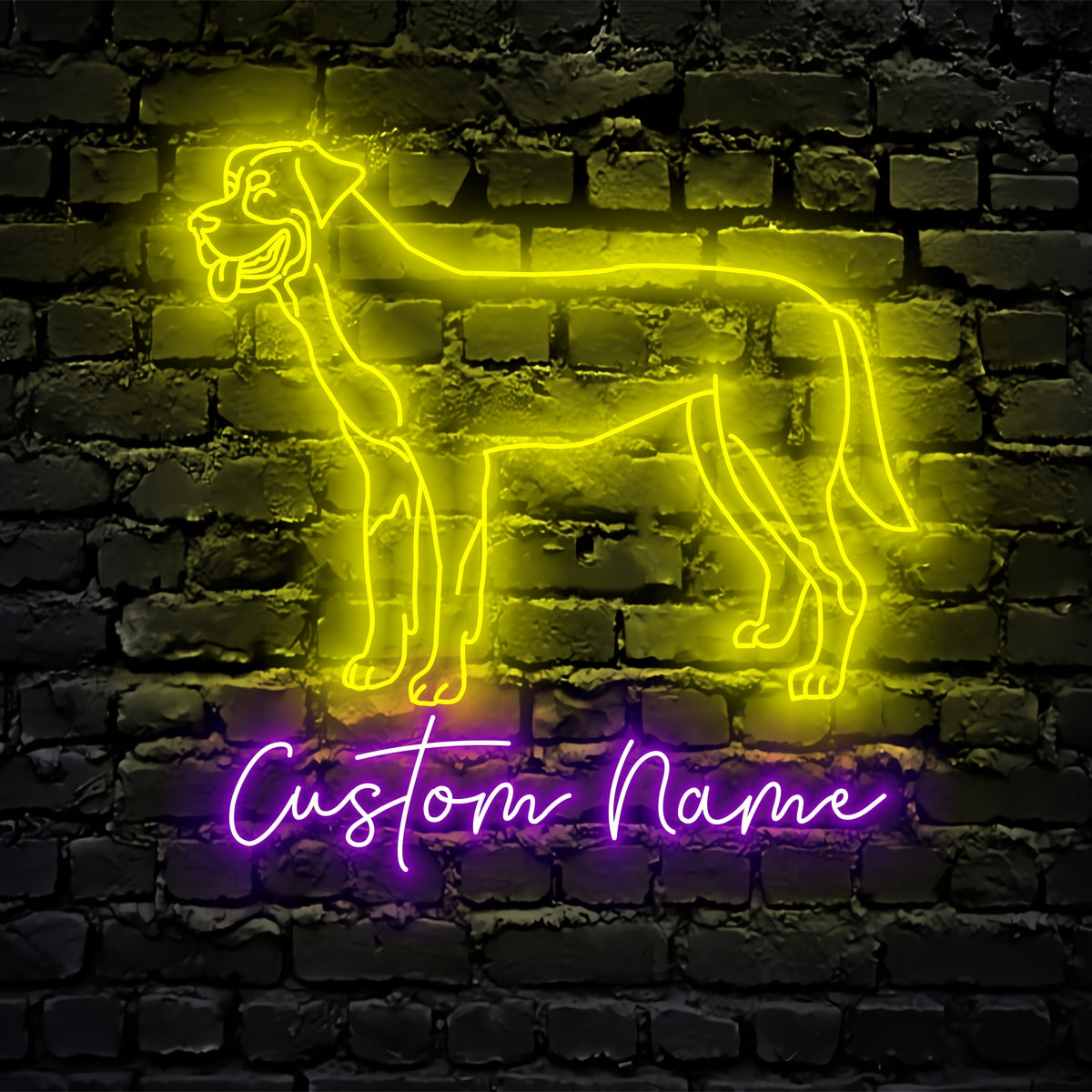 Greater Swiss Mountain Dog Neon Sign - Personalized Name Greater Swiss Mountain Dog Neon Sign - Dog Lover Gifts