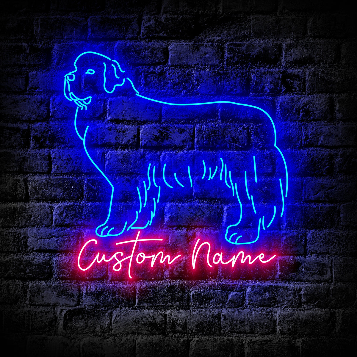 Newfoundland Dog Neon Sign - Personalized Name Newfoundland Dog Neon Sign - Dog Lover Gifts