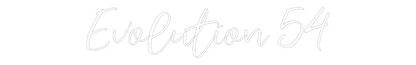 CREATE YOUR OWN WEDDING NEON SIGN Evolution 54