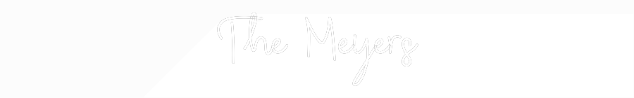 CREATE YOUR OWN WEDDING NEON SIGN The Meyers