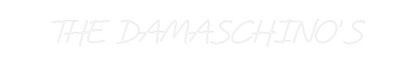 CREATE YOUR OWN WEDDING NEON SIGN THE DAMASCHIN...