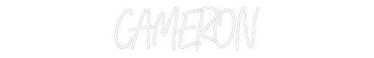 CREATE YOUR OWN WEDDING NEON SIGN CAMERON
