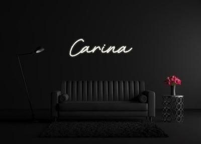 CREATE YOUR OWN CUSTOM NEON Carina