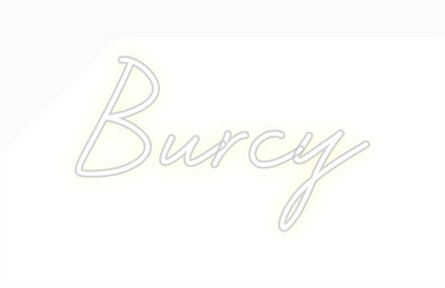 CREATE YOUR OWN CUSTOM NEON Burcy