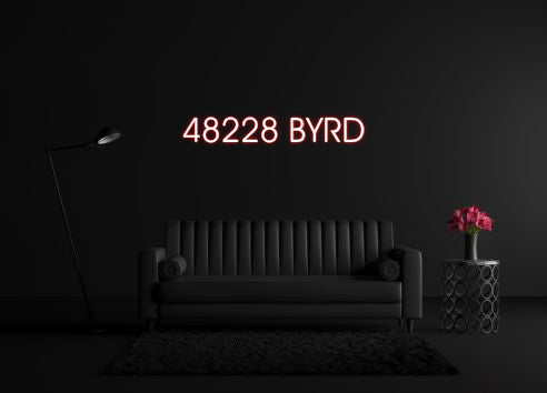 CREATE YOUR OWN CUSTOM NEON 48228 BYRD