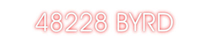 CREATE YOUR OWN CUSTOM NEON 48228 BYRD