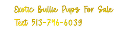 Custom Sign: Exotic Bullie...