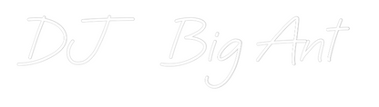 CREATE YOUR OWN WEDDING NEON SIGN DJ  Big Ant