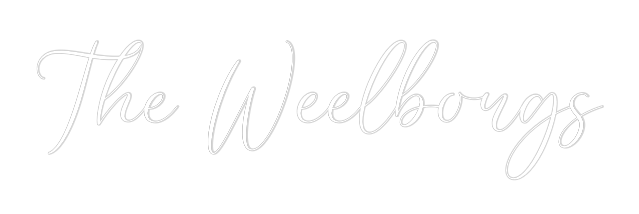 CREATE YOUR OWN WEDDING NEON SIGN The Weelborgs