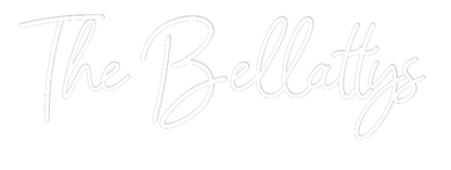 CREATE YOUR OWN WEDDING NEON SIGN The Bellattys