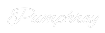 CREATE YOUR OWN WEDDING NEON SIGN Pumphrey