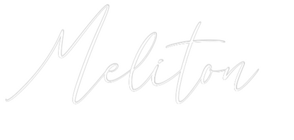 CREATE YOUR OWN WEDDING NEON SIGN Meliton