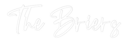 CREATE YOUR OWN WEDDING NEON SIGN The Briers