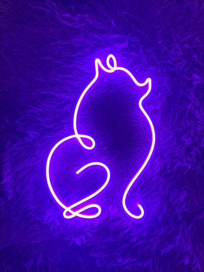 Cute Pomeranian Dog Neon Sign - Perfect Bedroom Decor And Pet Lover Gift - Animal Led Wall Art For Dog Lovers - Eye Catching Neon