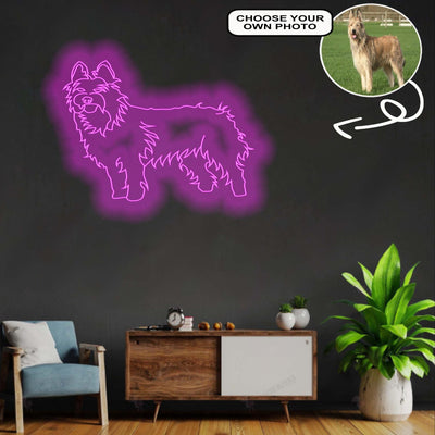 Custom Berger Picard Neon Sign with Your Dog's Photo - Personalized Pet Name Art - Unique Home Decor & Gift for Dog Lovers - Pet-Themed Lighting