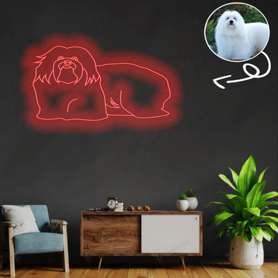 Custom Coton de tulear Neon Sign with Your Dog's Photo - Personalized Pet Name Art - Unique Home Decor & Gift for Dog Lovers - Pet-Themed Lighting