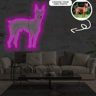 Custom German pinscher Pop-Art Neon Sign with Your Dog's Photo - Personalized Pet Name Art - Unique Home Decor & Gift for Dog Lovers - Pet-Themed Lighting