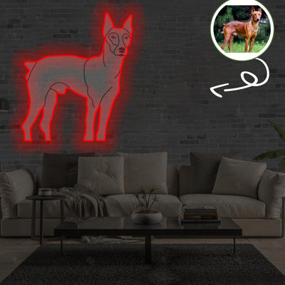 Custom German pinscher Pop-Art Neon Sign with Your Dog's Photo - Personalized Pet Name Art - Unique Home Decor & Gift for Dog Lovers - Pet-Themed Lighting