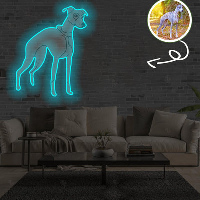 Custom Whippet Pop-Art Neon Sign with Your Dog's Photo - Personalized Pet Name Art - Unique Home Decor & Gift for Dog Lovers - Pet-Themed Lighting