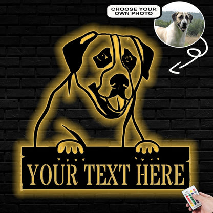 Personalized Anatolian shepherd Dog Metal Sign Led Lights Custom Name Photo
