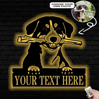 Personalized Appenzeller Dog Metal Sign Led Lights Custom Name Photo
