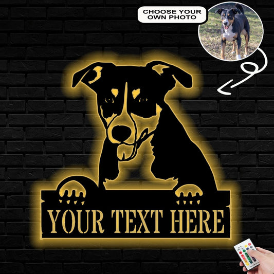 Personalized Berne cattle Dog Metal Sign Led Lights Custom Name Photo