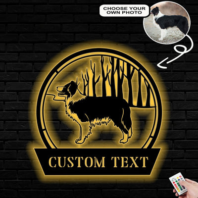 Personalized Border collie Dog Metal Sign Led Lights Custom Name Photo