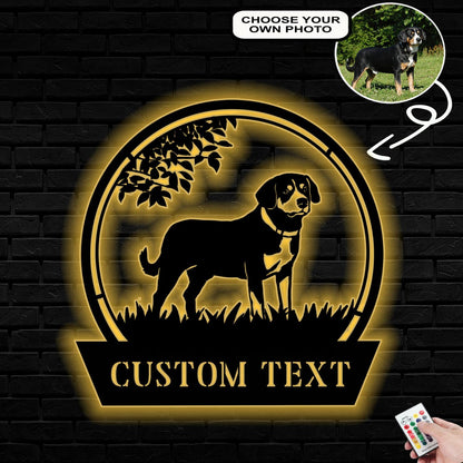 Personalized Entlebucher mountain Dog Metal Sign Led Lights Custom Name Photo