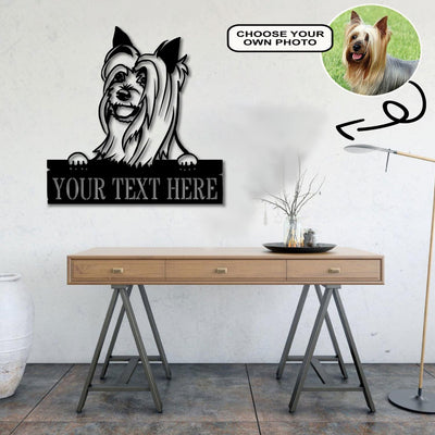 Personalized Australian silky terrier Dog Metal Sign Led Lights Custom Name Photo