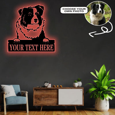 Personalized Collie Dog Metal Sign Led Lights Custom Name Photo