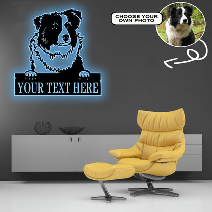 Personalized Collie Dog Metal Sign Led Lights Custom Name Photo